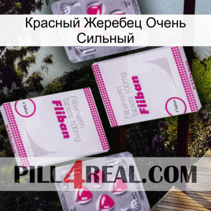 Красный Жеребец Очень Сильный 33